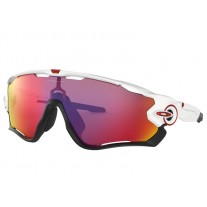 Oakley Jawbreaker™ sunglasses Polished White frame Prizm Road lens